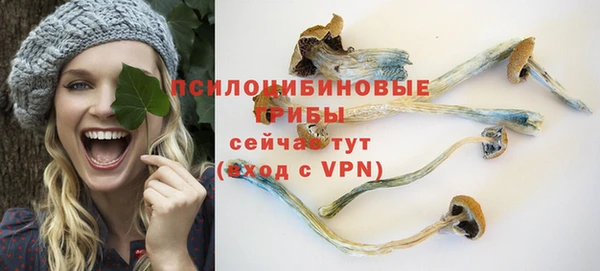 PSILOCYBIN Алексин