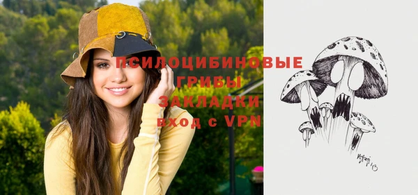 PSILOCYBIN Алексин