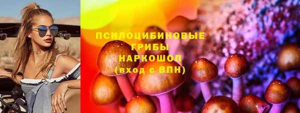 молекула духа Алзамай