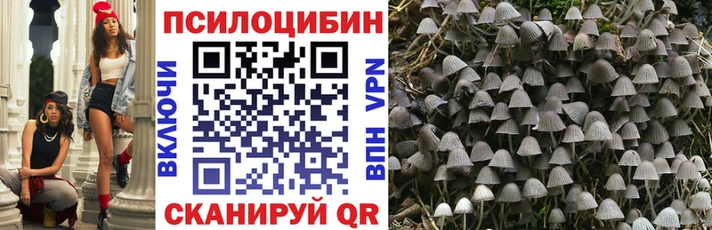 Галлюциногенные грибы Psilocybine cubensis  сколько стоит  Котельники 