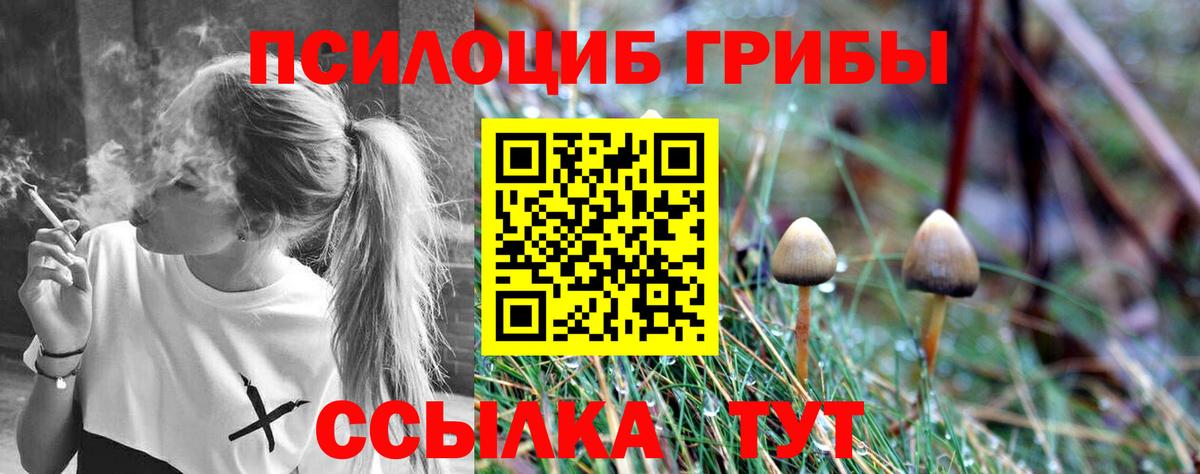 Галлюциногенные грибы Psilocybe  Вход с VPN  магазин    Котельники 